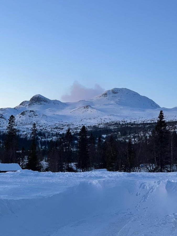 Brand New Cabin On The Sunny Side Of Gaustatoppen With A Great View Tuddal ภายนอก รูปภาพ