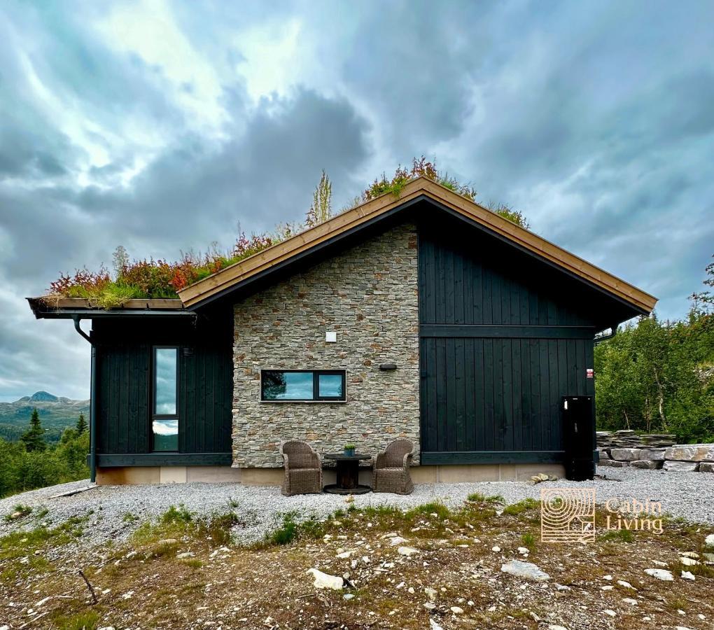 Brand New Cabin On The Sunny Side Of Gaustatoppen With A Great View Tuddal ภายนอก รูปภาพ
