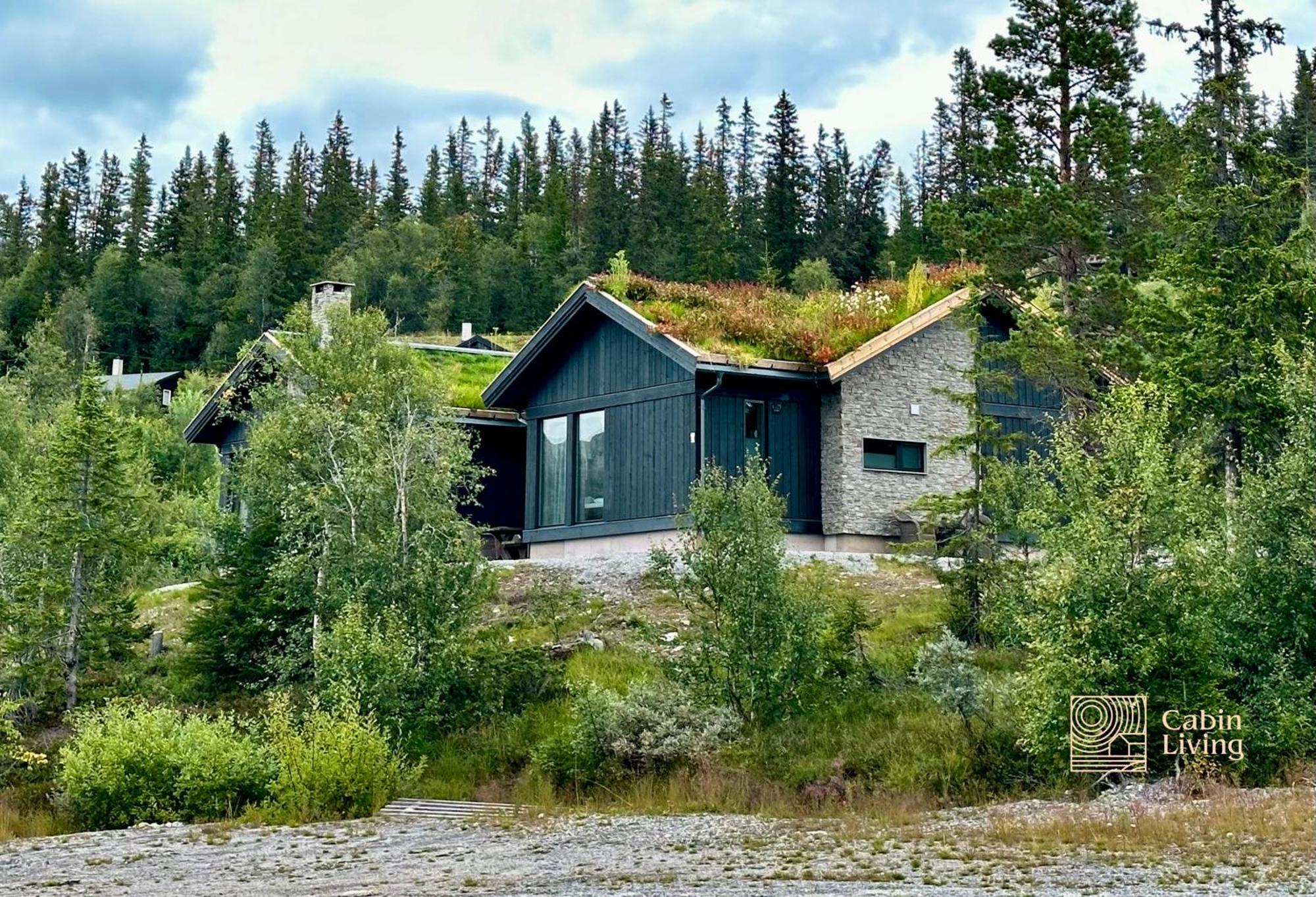 Brand New Cabin On The Sunny Side Of Gaustatoppen With A Great View Tuddal ภายนอก รูปภาพ